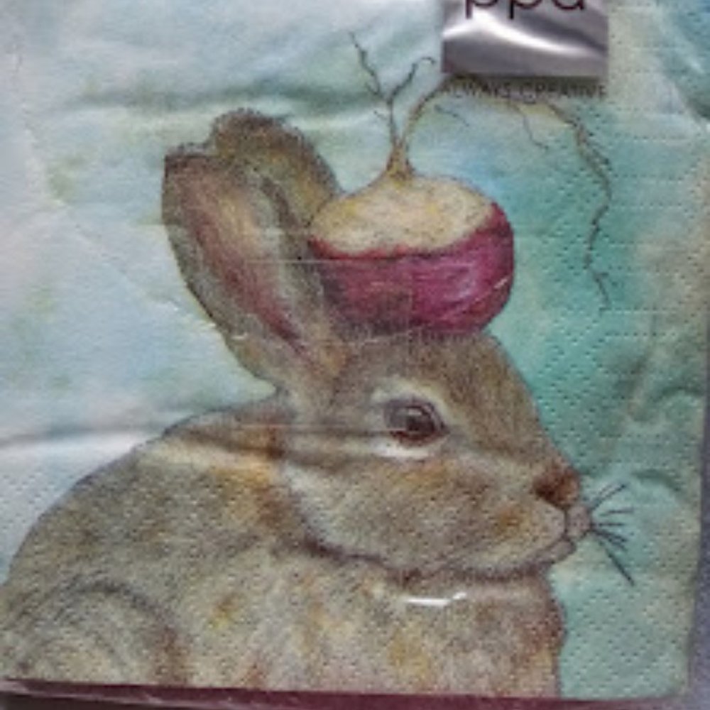 Paperproducts Design Napkins - "The Turnip Guardian"